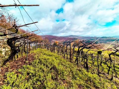 Quinta com 5250 m² & Moradia T1 em Pedra – Baião