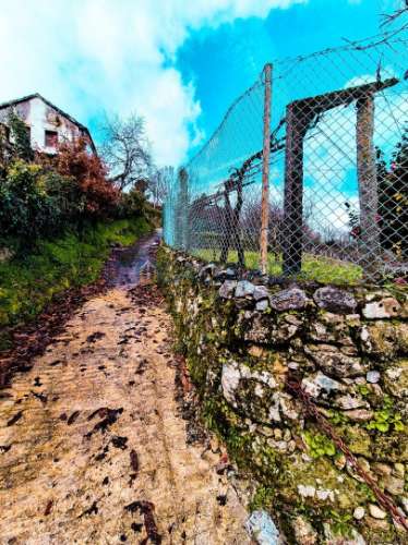 Quinta com 5250 m² & Moradia T1 em Pedra – Baião