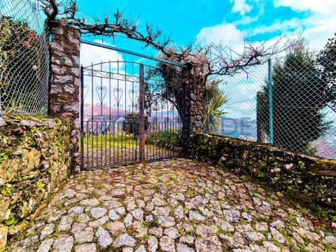 Quinta com 5250 m² & Moradia T1 em Pedra – Baião