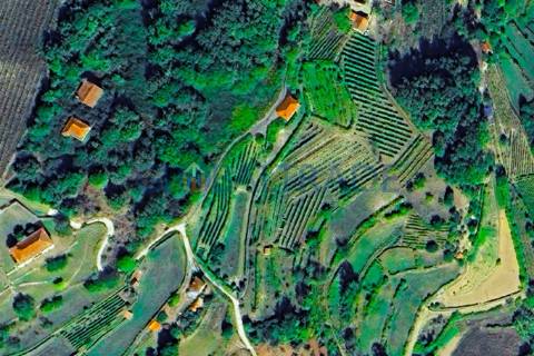 Quinta com 5250 m² & Moradia T1 em Pedra – Baião