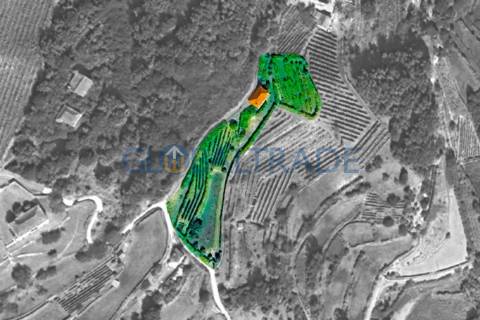 Quinta com 5250 m² & Moradia T1 em Pedra – Baião