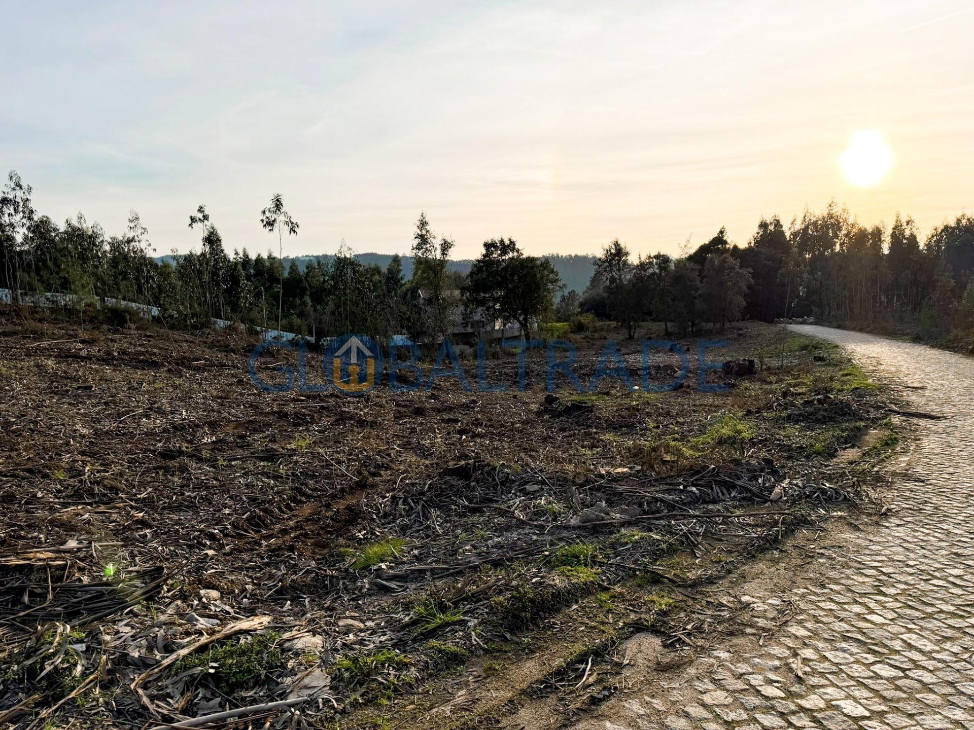 Terreno Urbano 5 3660m² em Melres