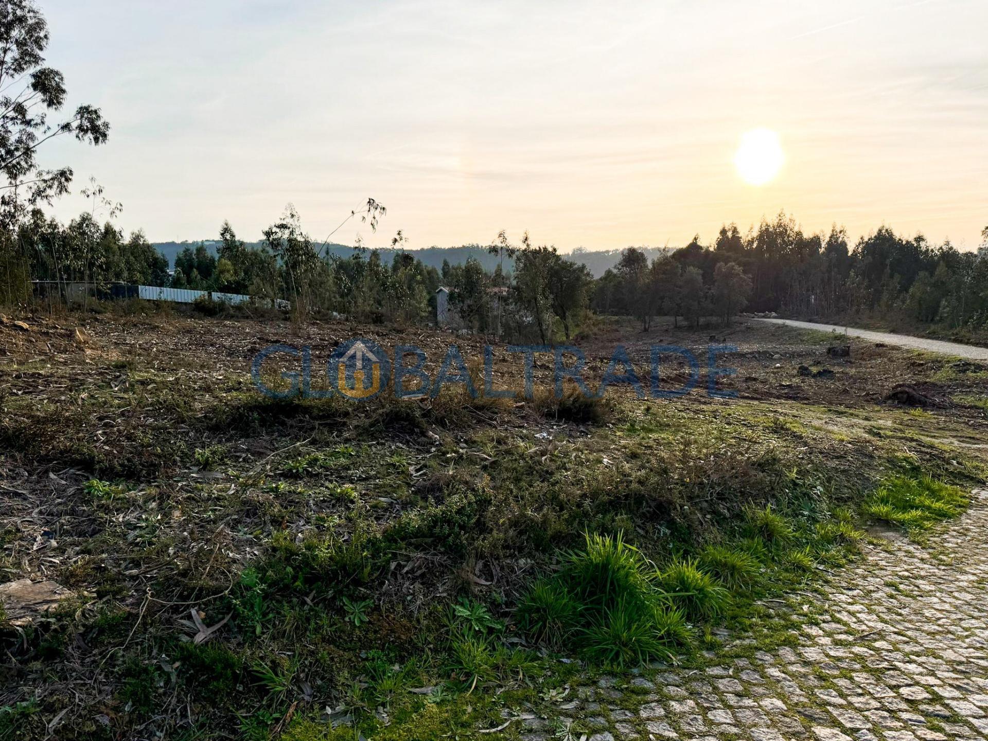 Terreno Urbano 5 3660m² em Melres