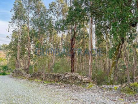 Terreno Urbano 1 768m² em Melres