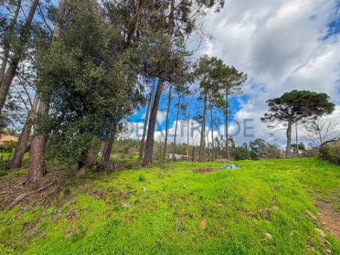 Terreno Urbano 1 798m² em Melres