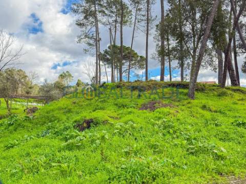 Terreno Urbano 1 798m² em Melres