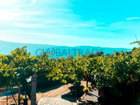 Quinta com 5250 m² & Moradia T1 em Pedra – Baião