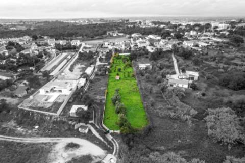 Terreno Para Construção  Venda em Santarém (Marvila), Santa Iria da Ribeira de Santarém, Santarém (São Salvador) e Santarém (São Nicolau),Santarém