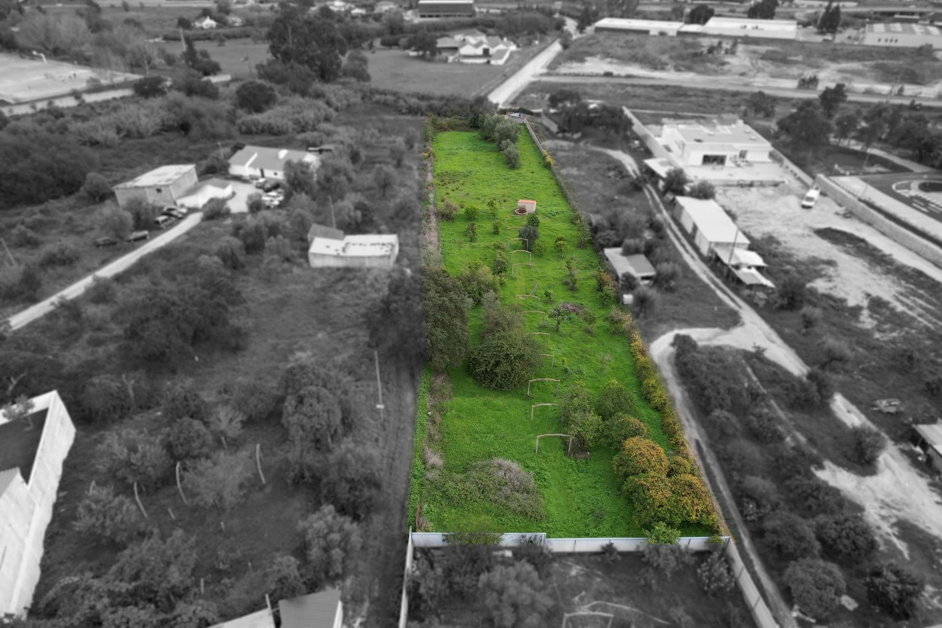 Terreno Para Construção  Venda em Santarém (Marvila), Santa Iria da Ribeira de Santarém, Santarém (São Salvador) e Santarém (São Nicolau),Santarém