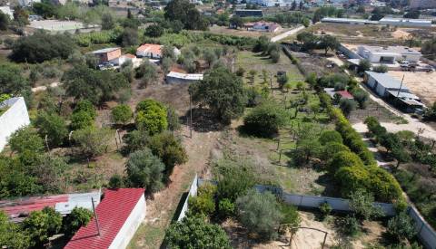 Terreno Para Construção  Venda em Santarém (Marvila), Santa Iria da Ribeira de Santarém, Santarém (São Salvador) e Santarém (São Nicolau),Santarém