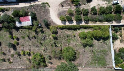 Terreno Para Construção  Venda em Santarém (Marvila), Santa Iria da Ribeira de Santarém, Santarém (São Salvador) e Santarém (São Nicolau),Santarém