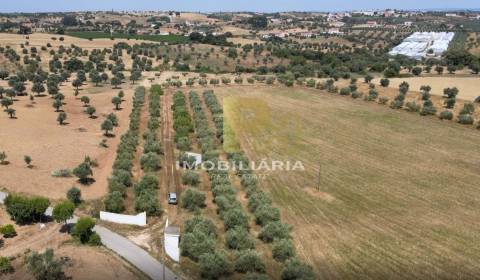 Terreno  Venda em São Vicente do Paul e Vale de Figueira,Santarém