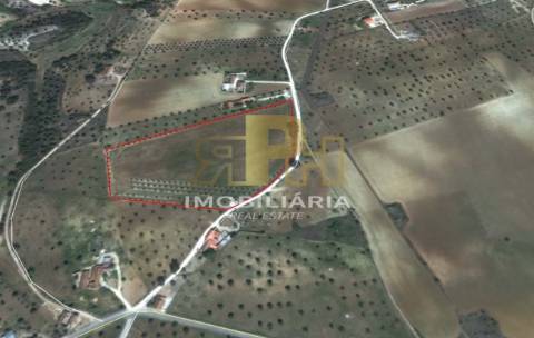 Terreno  Venda em São Vicente do Paul e Vale de Figueira,Santarém