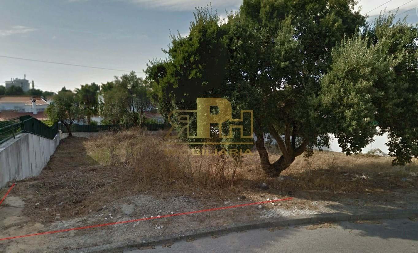 Lote de Terreno  Venda em Vale de Santarém,Santarém