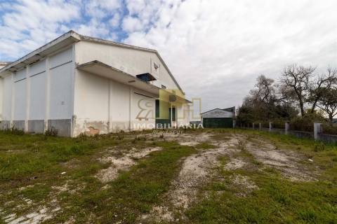 Prédio T6 Venda em Alcanhões,Santarém