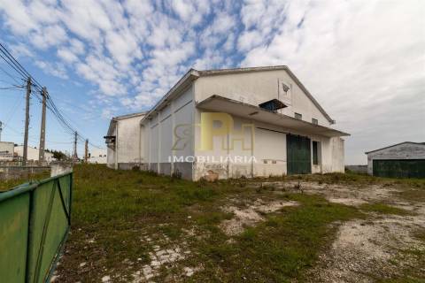 Prédio T6 Venda em Alcanhões,Santarém