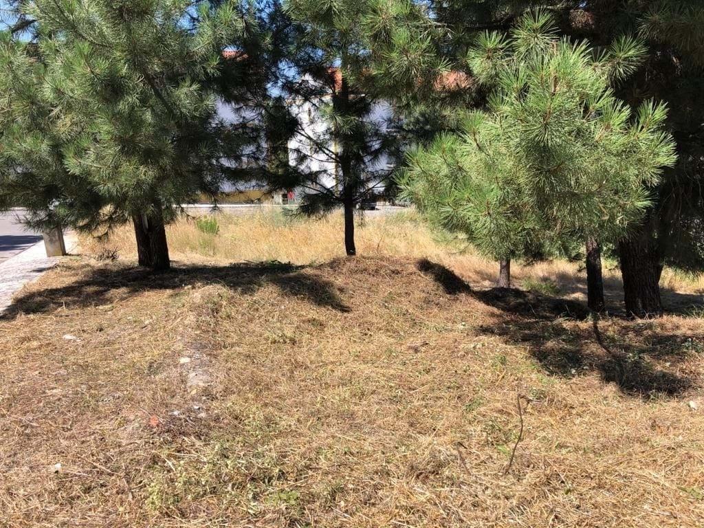 Lote de Terreno  Venda em Pego,Abrantes