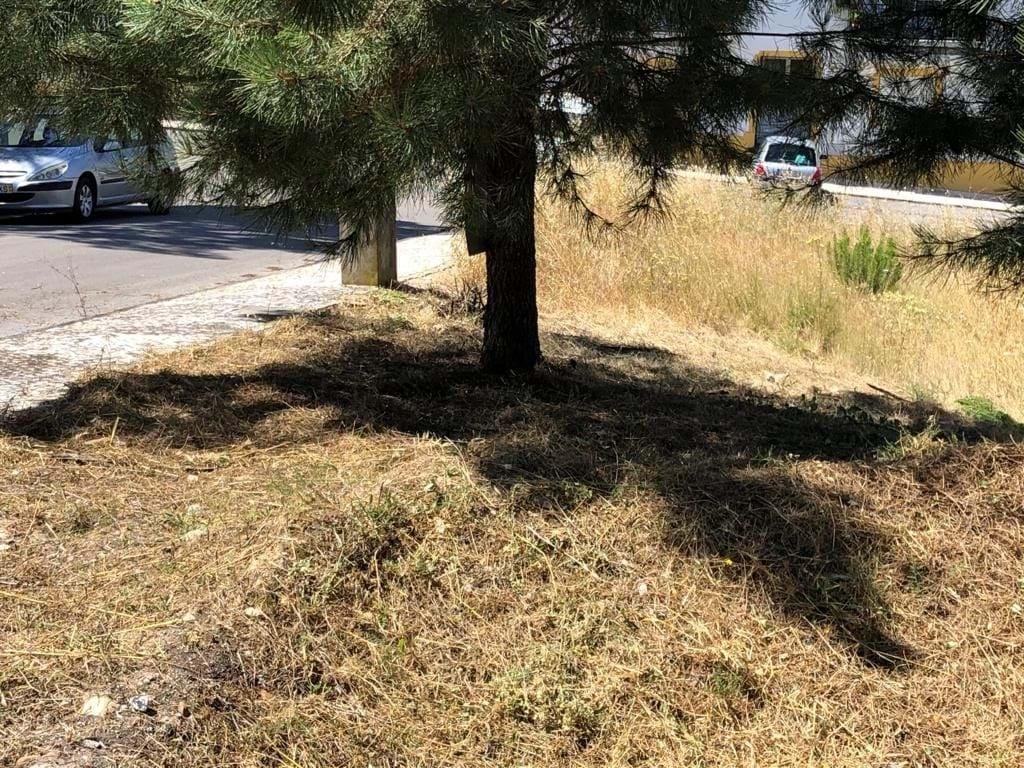 Lote de Terreno  Venda em Pego,Abrantes