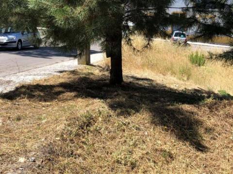 Lote de Terreno  Venda em Abrantes (São Vicente e São João) e Alferrarede,Abrantes