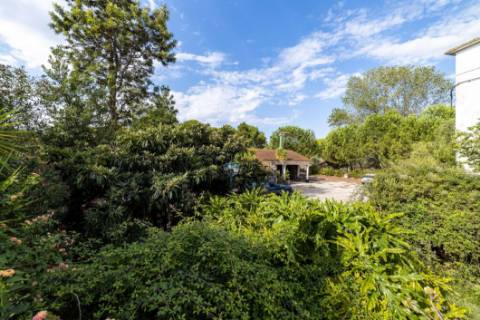 Quinta  Venda em Romeira e Várzea,Santarém