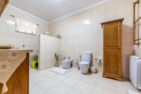 Quinta  Venda em Romeira e Várzea,Santarém