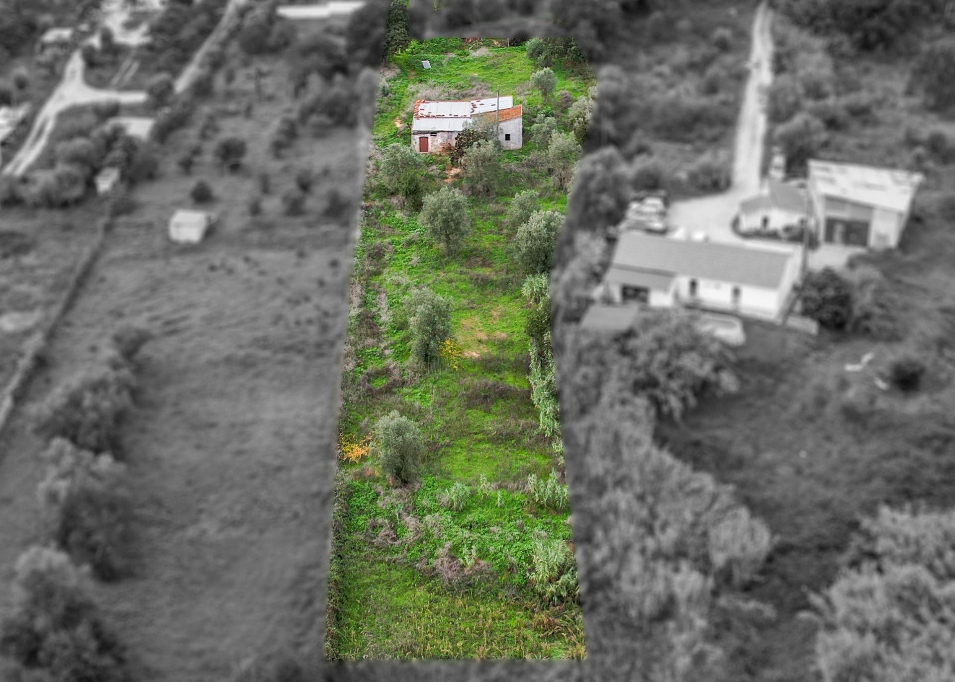 Terreno Para Construção  Venda em Vale de Santarém,Santarém