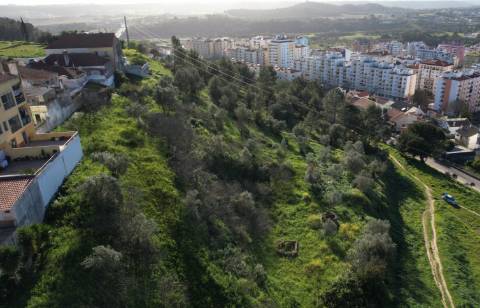 Terreno Rústico  Venda em Santarém (Marvila), Santa Iria da Ribeira de Santarém, Santarém (São Salvador) e Santarém (São Nicolau),Santarém