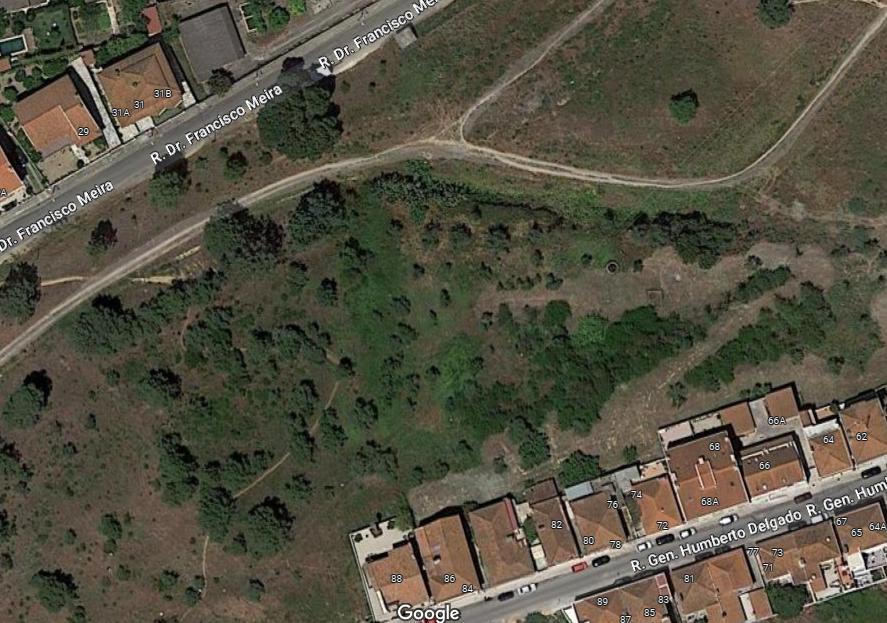 Terreno Rústico  Venda em Vale de Santarém,Santarém