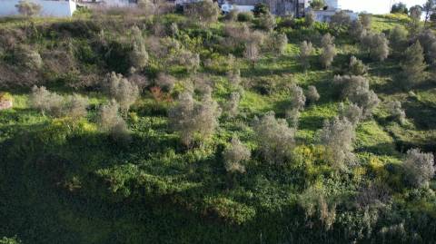 Terreno Rústico  Venda em Santarém (Marvila), Santa Iria da Ribeira de Santarém, Santarém (São Salvador) e Santarém (São Nicolau),Santarém