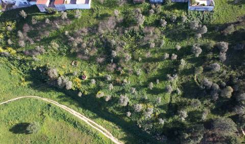 Terreno Rústico  Venda em Santarém (Marvila), Santa Iria da Ribeira de Santarém, Santarém (São Salvador) e Santarém (São Nicolau),Santarém