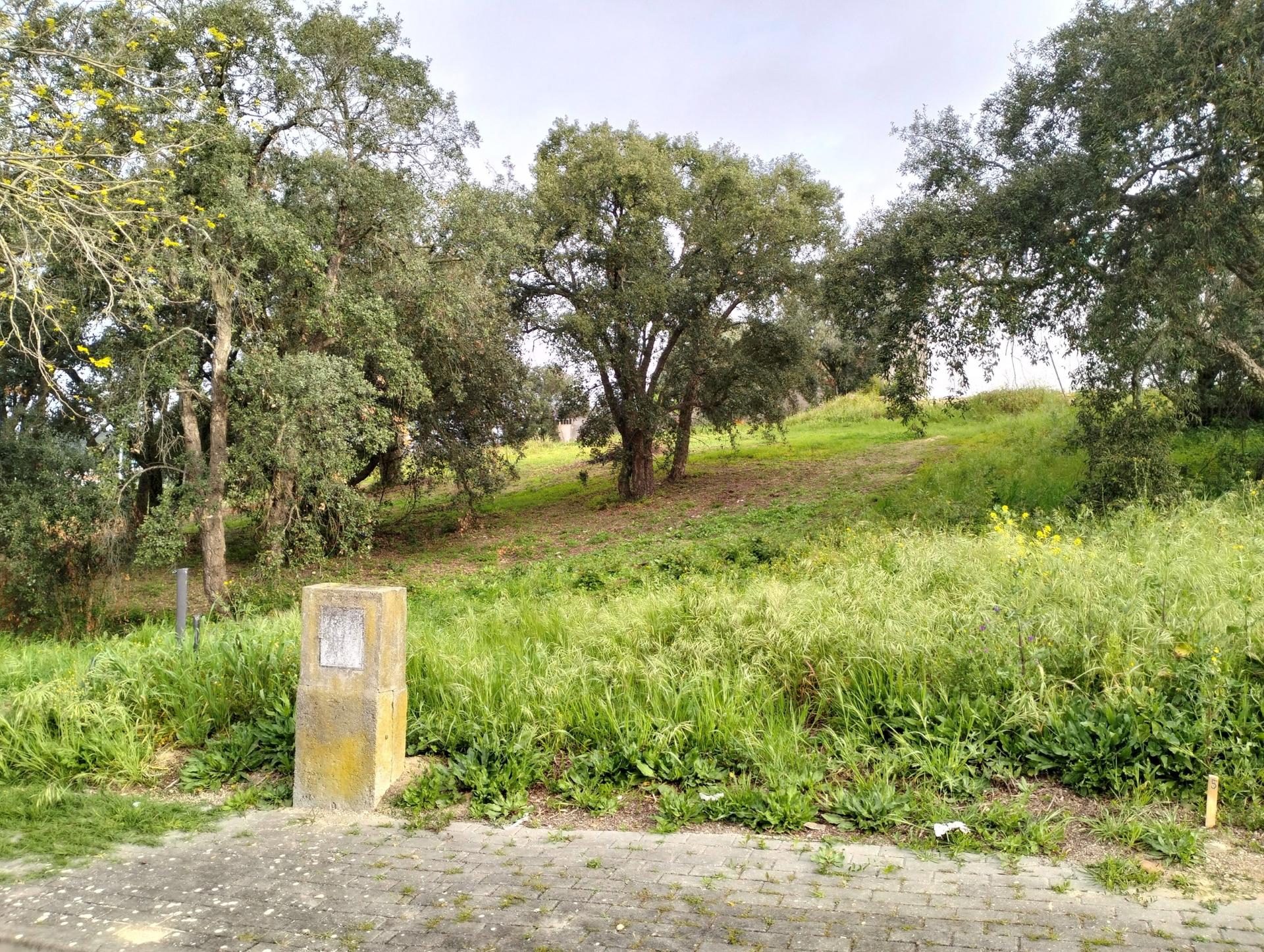 Lote de Terreno  Venda em Vale de Santarém,Santarém