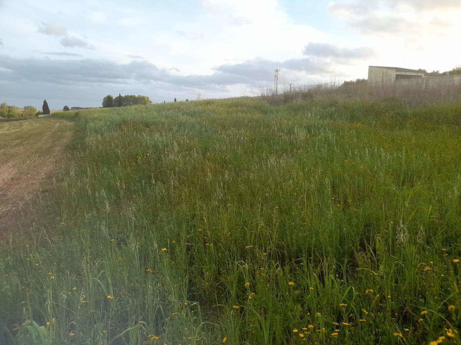 Terreno Para Construção  Venda em São Vicente do Paul e Vale de Figueira,Santarém