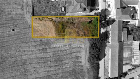 Terreno Para Construção  Venda em São Vicente do Paul e Vale de Figueira,Santarém