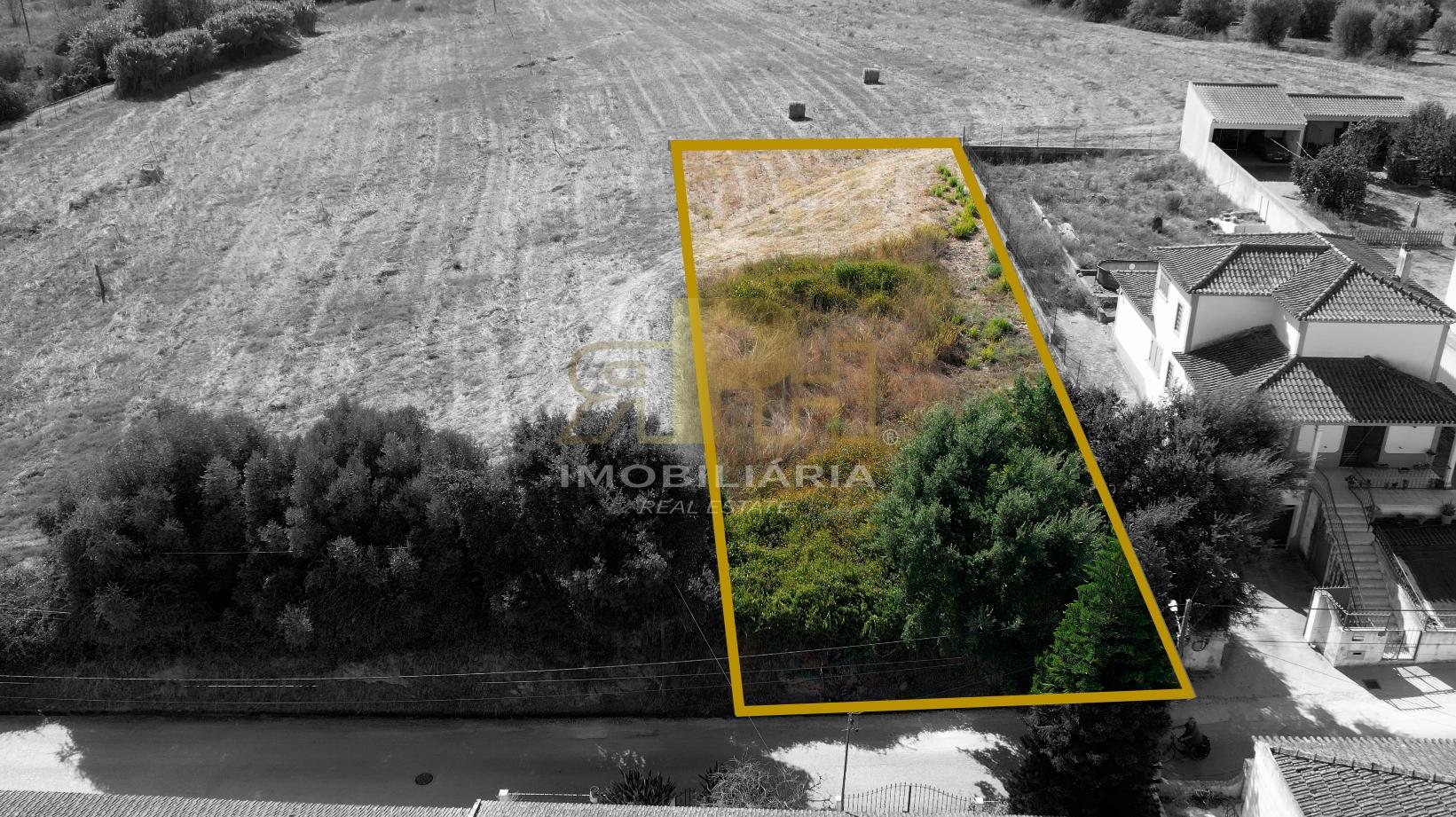 Terreno Para Construção  Venda em São Vicente do Paul e Vale de Figueira,Santarém