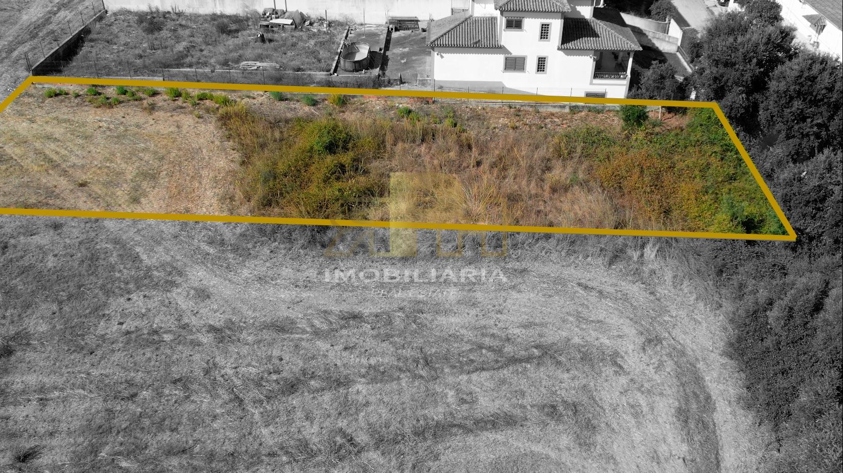 Terreno Para Construção  Venda em São Vicente do Paul e Vale de Figueira,Santarém