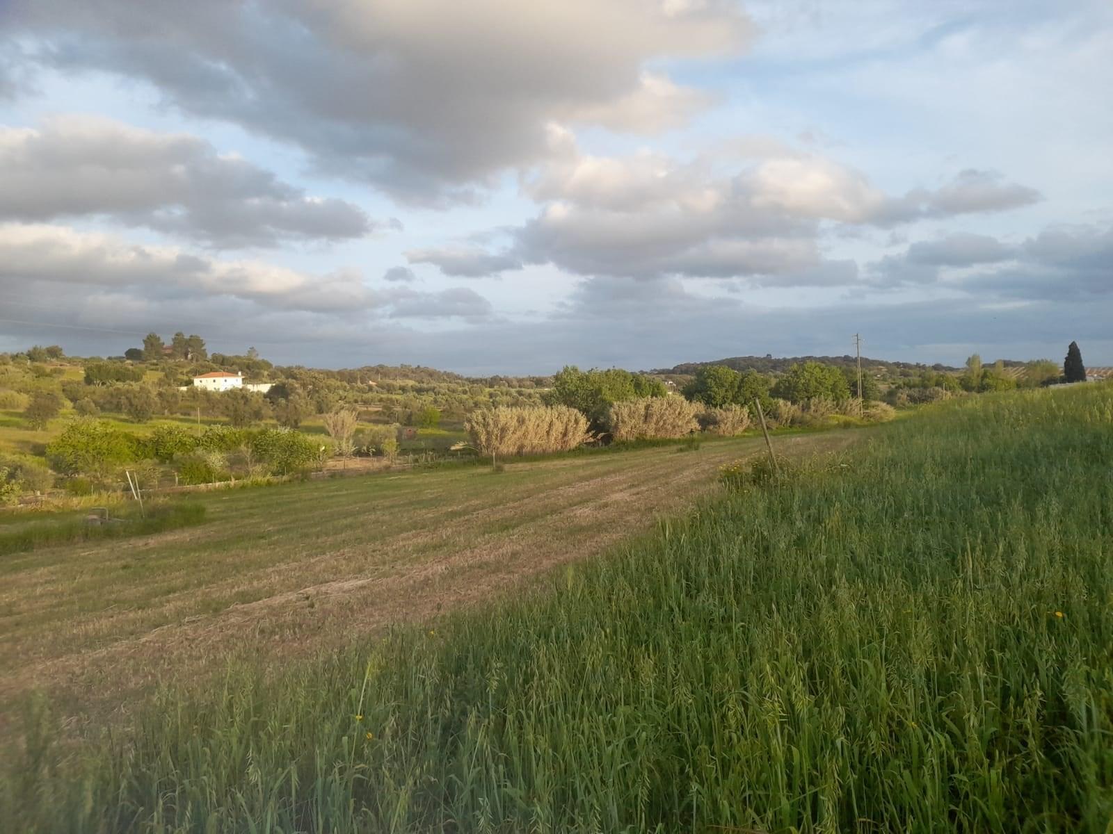 Terreno Para Construção  Venda em São Vicente do Paul e Vale de Figueira,Santarém