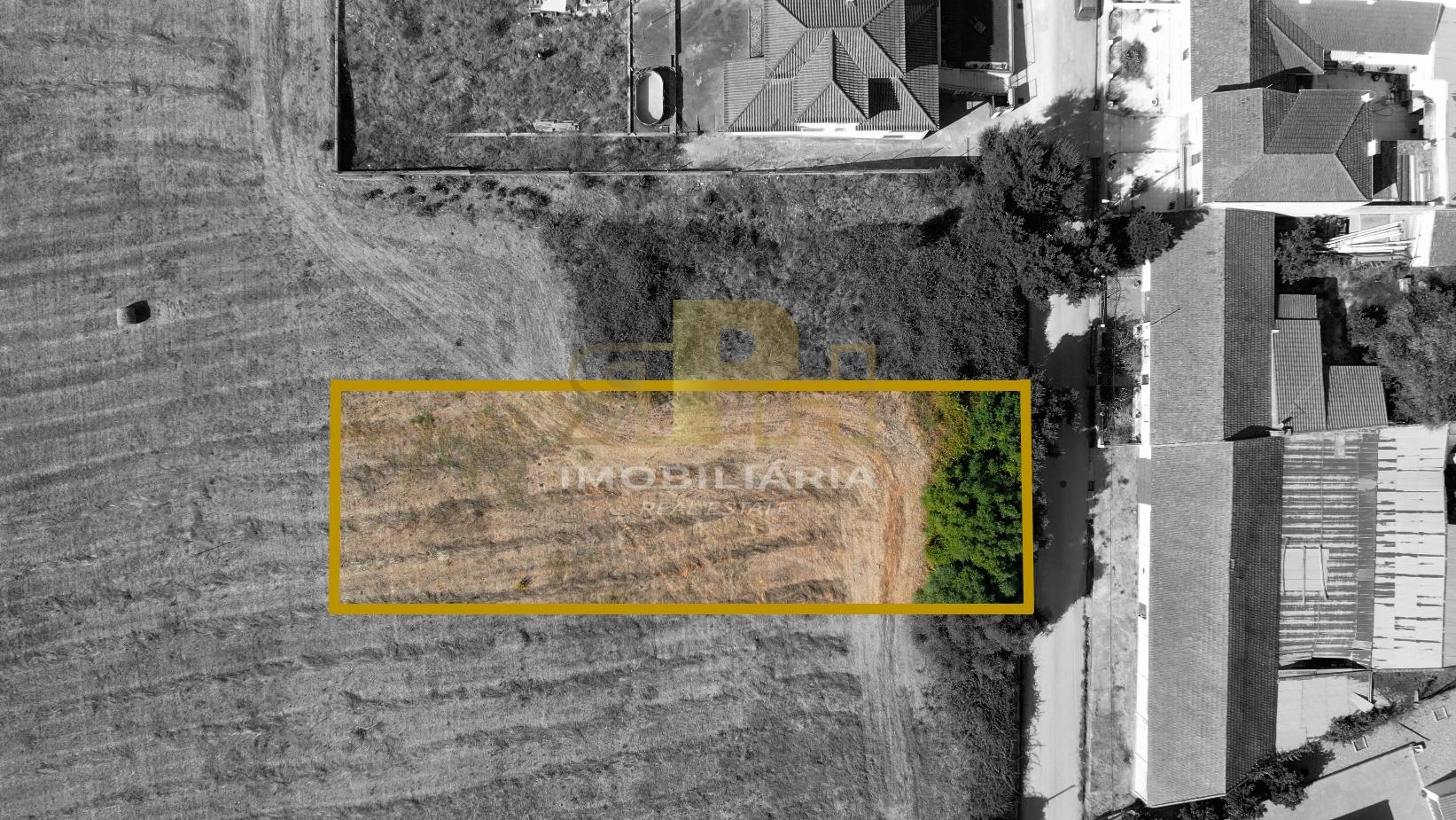 Terreno Para Construção  Venda em São Vicente do Paul e Vale de Figueira,Santarém