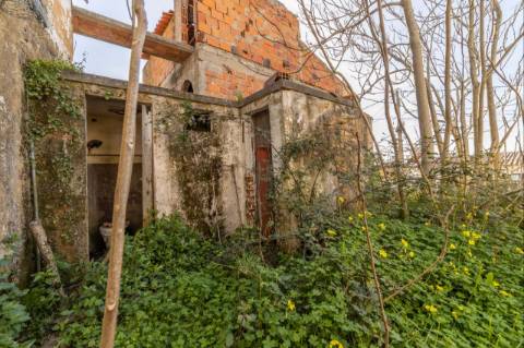 Armazém  Venda em Chamusca e Pinheiro Grande,Chamusca