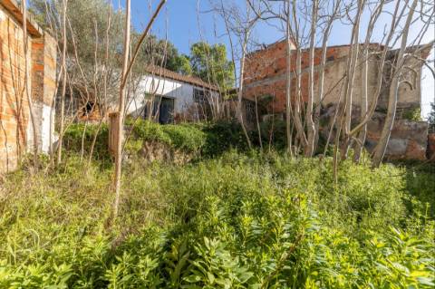 Armazém  Venda em Chamusca e Pinheiro Grande,Chamusca