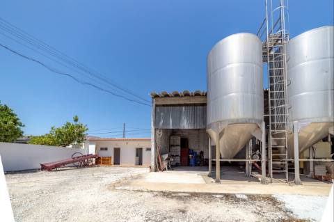 Armazém T1 Venda em Fazendas de Almeirim,Almeirim