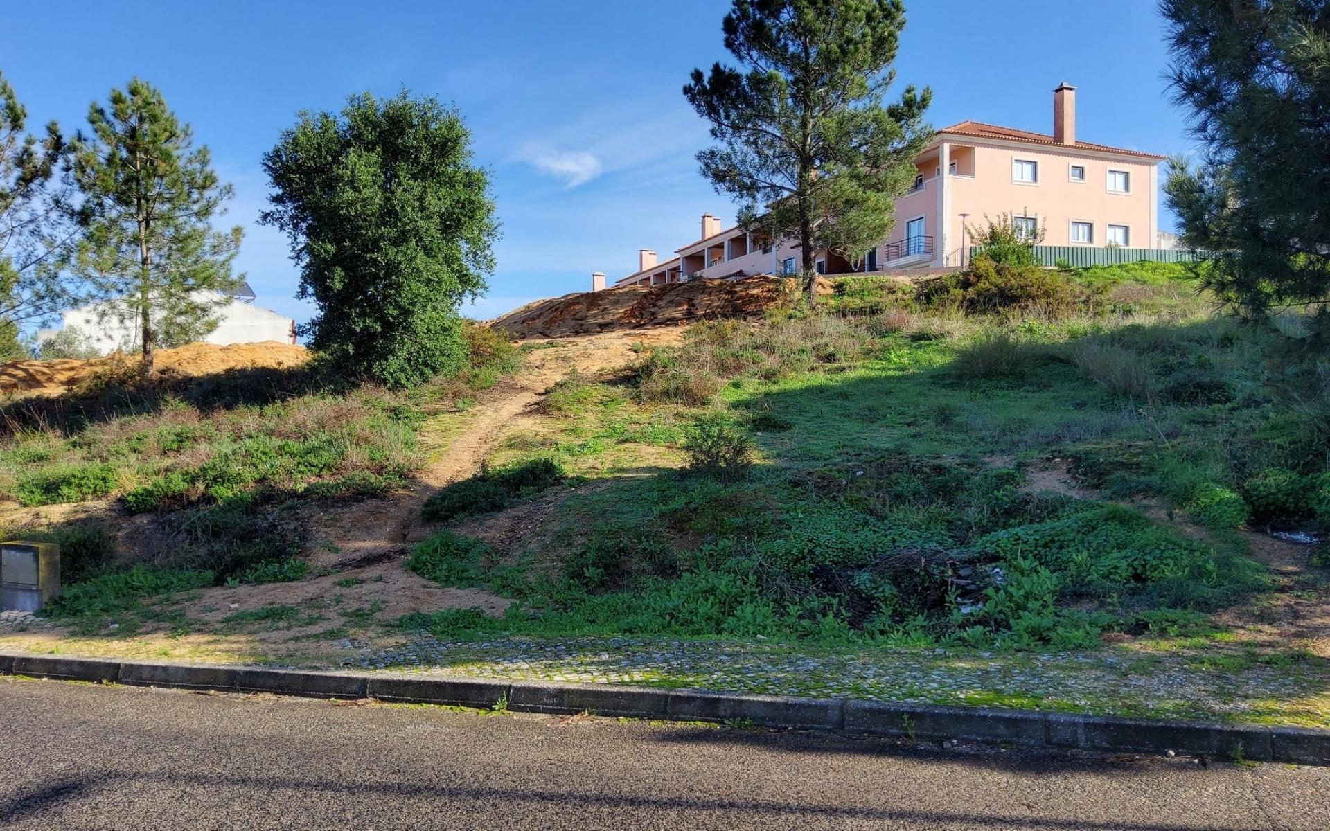 Lote de Terreno  Venda em Vale de Santarém,Santarém