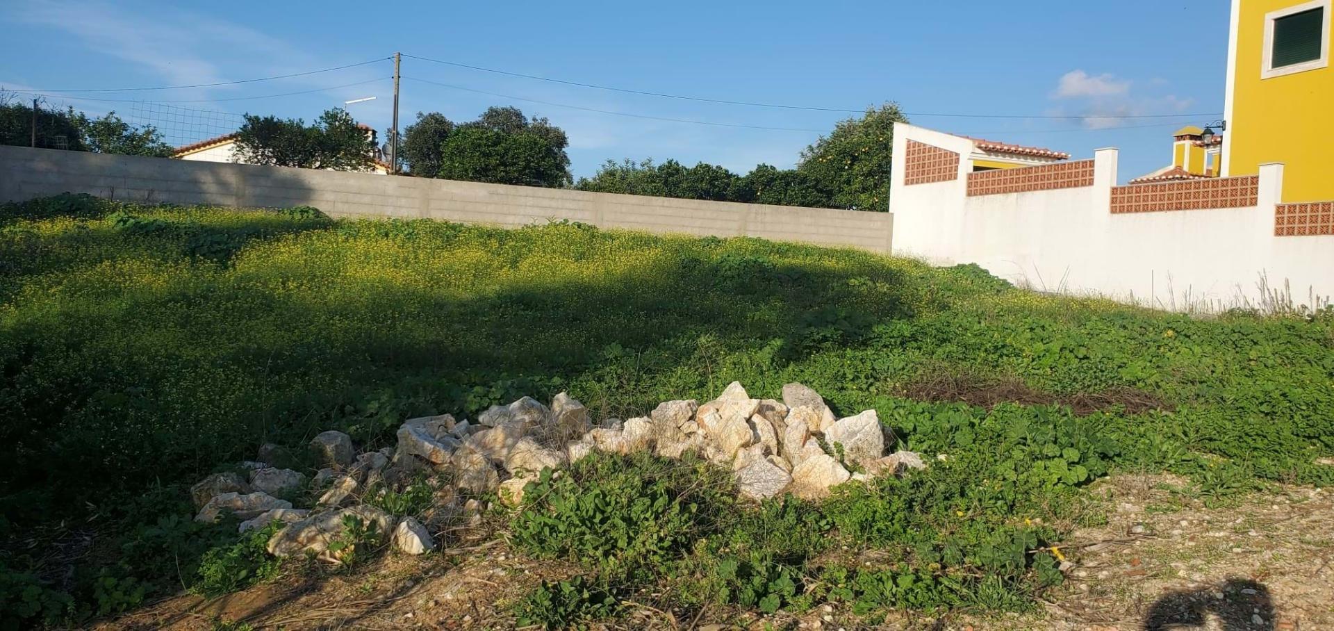 Lote de Terreno  Venda em Vale de Santarém,Santarém