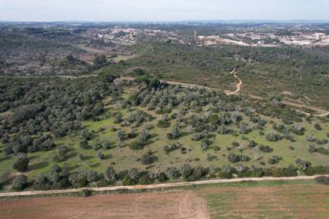 Terreno Para Construção  Venda em Almoster,Santarém