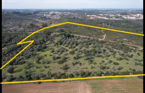 Terreno Para Construção  Venda em Almoster,Santarém