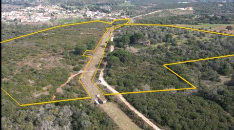 Terreno Para Construção  Venda em Almoster,Santarém