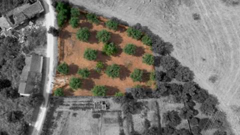 Terreno Para Construção  Venda em Santarém (Marvila), Santa Iria da Ribeira de Santarém, Santarém (São Salvador) e Santarém (São Nicolau),Santarém