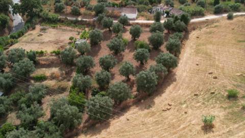 Terreno Para Construção  Venda em Santarém (Marvila), Santa Iria da Ribeira de Santarém, Santarém (São Salvador) e Santarém (São Nicolau),Santarém