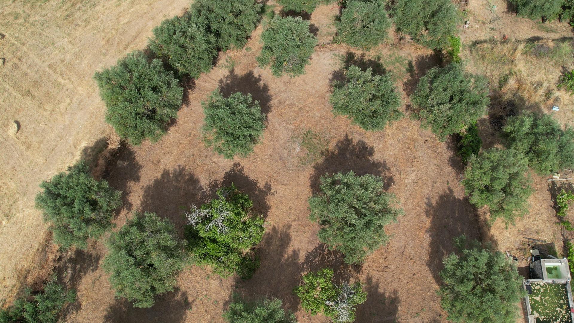 Terreno Para Construção  Venda em Santarém (Marvila), Santa Iria da Ribeira de Santarém, Santarém (São Salvador) e Santarém (São Nicolau),Santarém