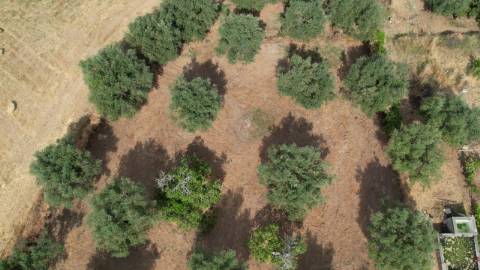 Terreno Para Construção  Venda em Santarém (Marvila), Santa Iria da Ribeira de Santarém, Santarém (São Salvador) e Santarém (São Nicolau),Santarém