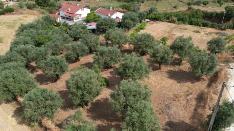 Terreno Para Construção  Venda em Santarém (Marvila), Santa Iria da Ribeira de Santarém, Santarém (São Salvador) e Santarém (São Nicolau),Santarém